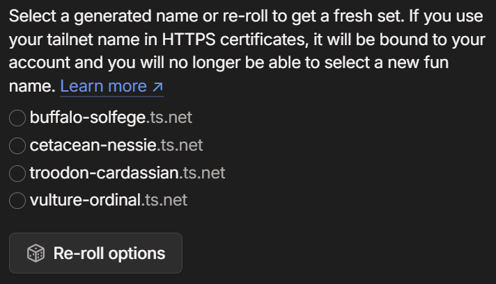 Choosing a tailnet fun name Choosing a tailnet fun name.